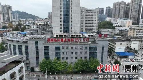 遵医附院吃瓜事件,一场校园风波的真相与反思