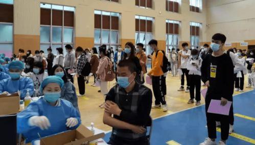 吃瓜事件河南最新消息,揭秘真相与后续影响