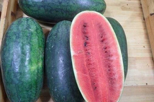 山东美术吃瓜事件原因,揭秘背后原因与影响