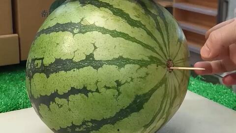 山东美术吃瓜事件原因,揭秘背后原因与影响