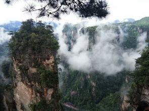 张家界女子吃瓜事件真相,真相揭秘与网络舆论反思