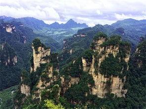 张家界女子吃瓜事件真相,真相揭秘与网络舆论反思