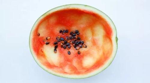 最近武都吃瓜事件真相是真的吗,真相揭秘，还原事件始末