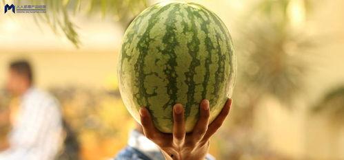 吃瓜的事件是怎么来的,揭秘吃瓜事件的起源与演变