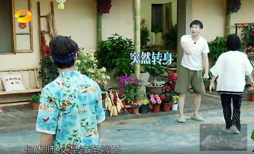 镇平吃瓜事件真相视频,揭秘真相背后的惊人内幕