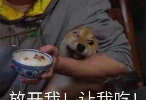 629吃瓜事件,网络舆论的风暴与反思