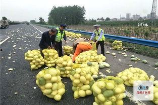 许昌吃大瓜事件,一场网络狂欢背后的真相与反思