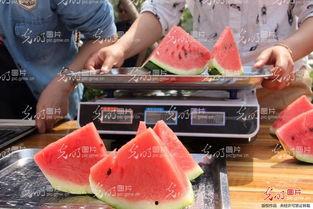 界首太和恶心吃瓜事件,一场引发社会关注的食品安全风波