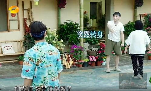 仙女吃瓜事件真相揭秘,揭秘背后真相与网络舆论的反思