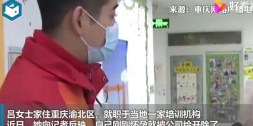 吃瓜孕妇事件视频下载安装