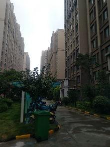 镇平县中央华府吃瓜事件