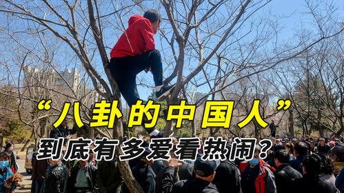 中缅边境大妈吃瓜事件