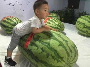 宜城吃瓜群众事件