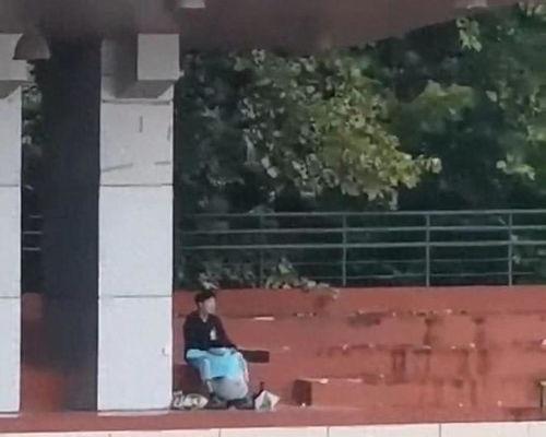 濮阳天台吃瓜事件视频,一场引发热议的网络奇观