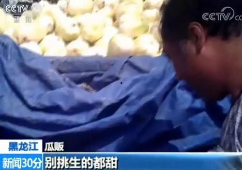 龙港大叔出轨吃瓜事件,揭秘网络吃瓜群众的围观效应