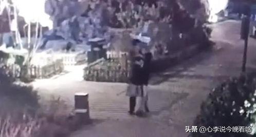 老街吃瓜事件是讽刺的吗,讽刺现实，揭示人性百态