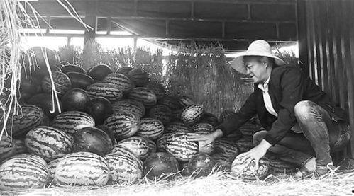 宿迁吃瓜群众事件视频