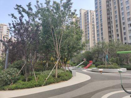 长安万科事件吃瓜,揭秘背后真相，吃瓜群众围观维权风云