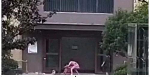 宜宾翡翠城吃瓜事件始末