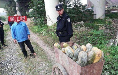 河北任丘吃瓜女孩死亡事件