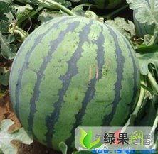 徐州睢宁吃瓜事件近期