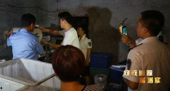 邯山区吃瓜事件始末视频,一场网络热议的始末揭秘