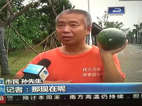 搞笑的吃瓜群众事件,笑料百出！吃瓜群众再现经典搞笑事件大盘点