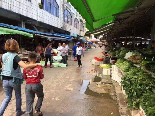 钦州灵山吃瓜事件真相揭秘,真相大白，还原事件始末