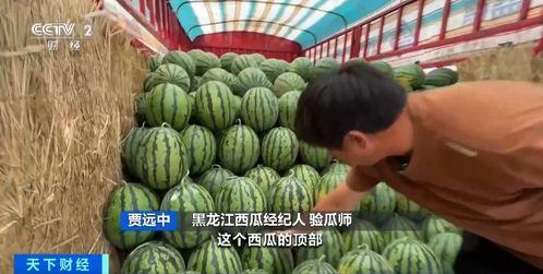 成都麓山国际吃瓜事件,校园风波背后的真相探寻