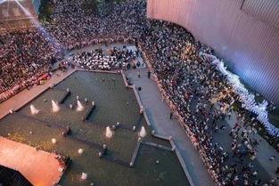 最近大学吃瓜事件解刨,校园风云背后的真相与反思