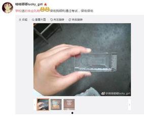 最近大学吃瓜事件解刨,校园风云背后的真相与反思